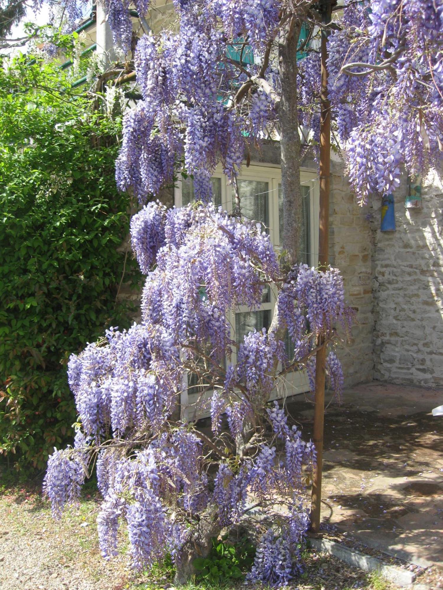 Agriturismo Cascina Serra Cossano Belbo المظهر الخارجي الصورة