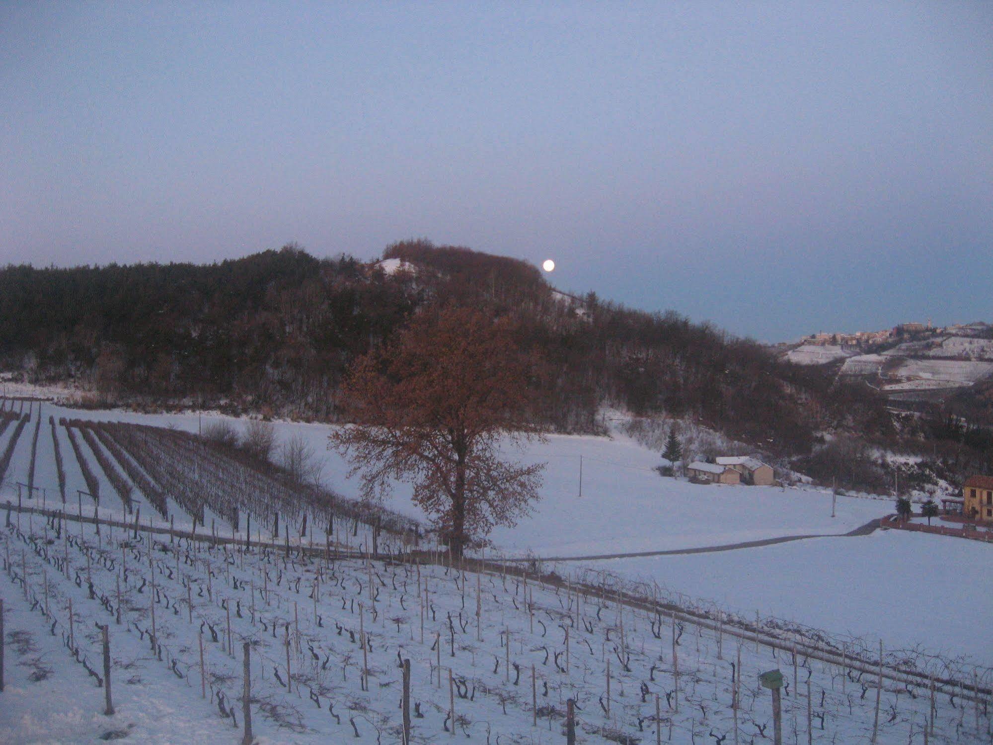 Agriturismo Cascina Serra Cossano Belbo المظهر الخارجي الصورة