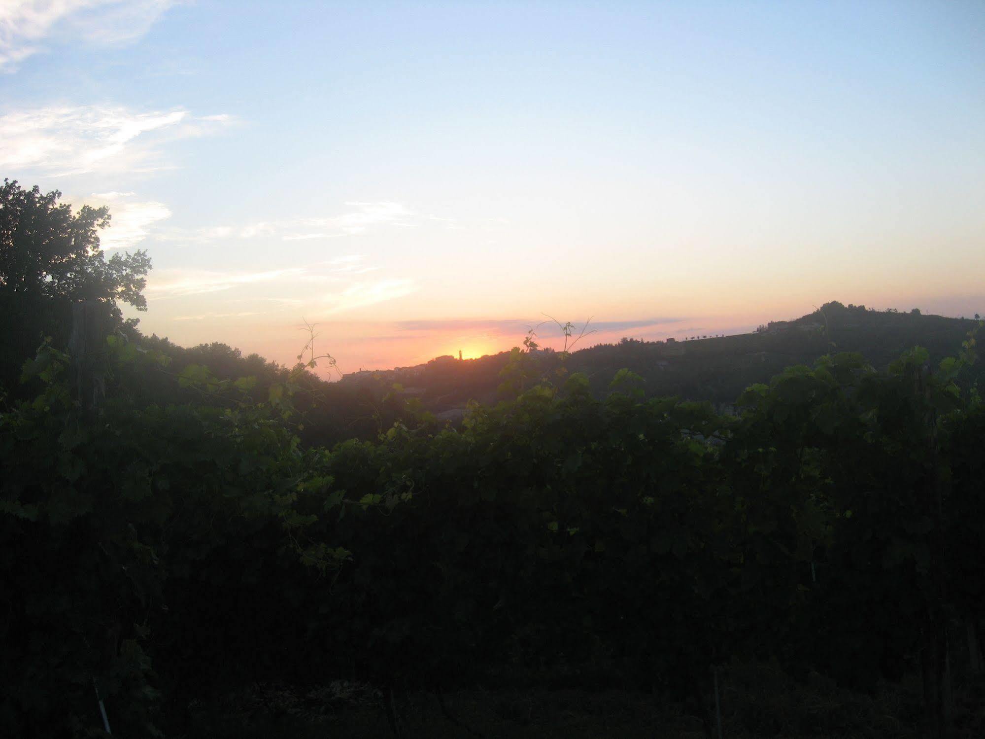 Agriturismo Cascina Serra Cossano Belbo المظهر الخارجي الصورة