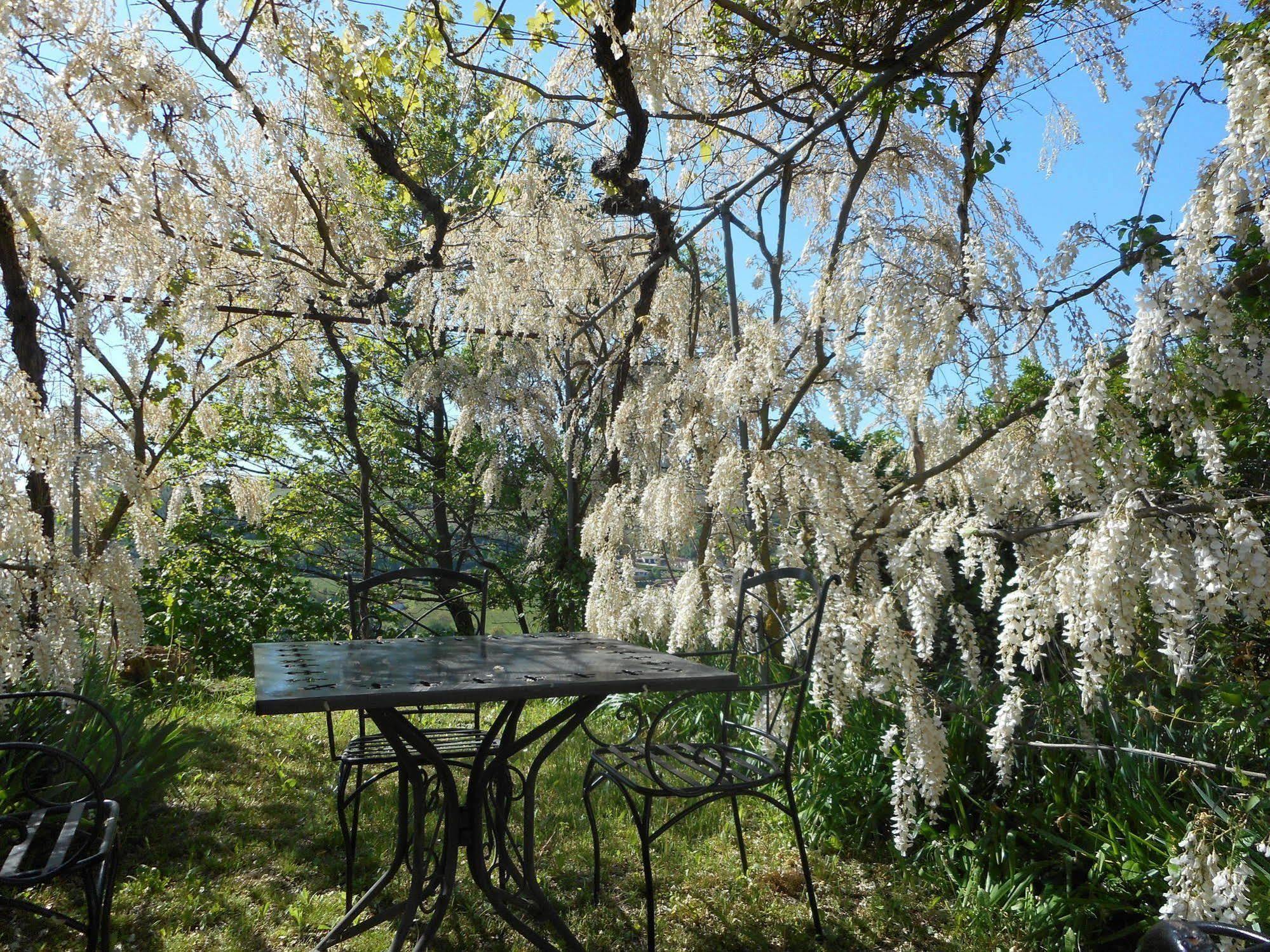 Agriturismo Cascina Serra Cossano Belbo المظهر الخارجي الصورة